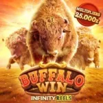 PGSOFT Buffalo Win