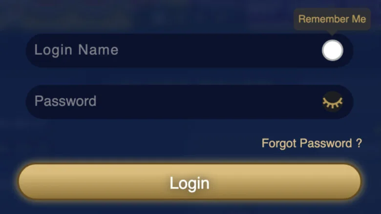 MWPLAY Login Form